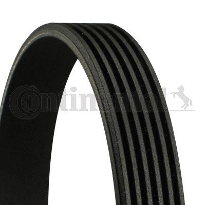 Belt CONTINENTAL CTAM 6PK2245