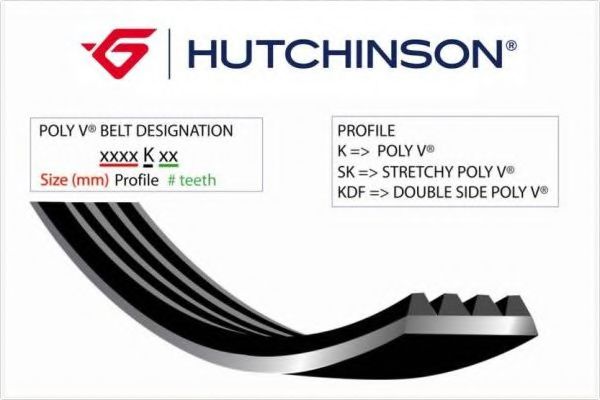 V-Ribbed Belts HUTCHINSON 975K6