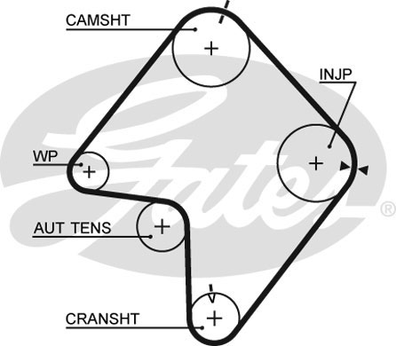 Ремень Зубчатый 162 X 25 (8597-15355) Gates арт 5355XS GATES 5355XS