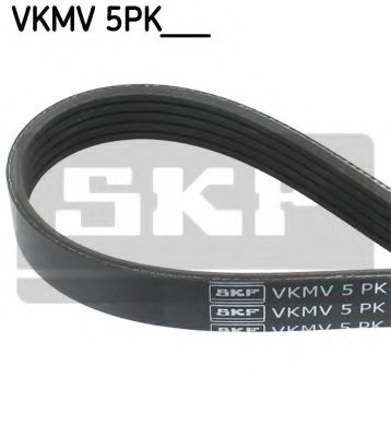 Belt SKF VKMV5PK907