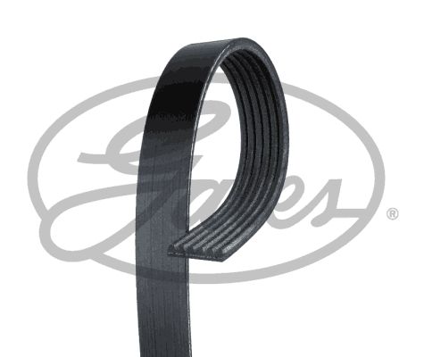 V-Ribbed Belts GATES 6PK975