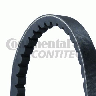 V-Belts CONTITECH 13X825