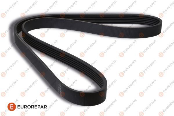 Ремень поликлиновый 6PK736 EUROREPAR 1606348880