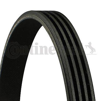 Belt CONTINENTAL CTAM 4PK905