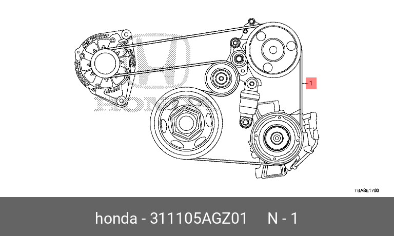 Ремень приводной поликлиновой HONDA 311105AGZ01